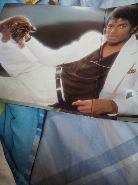 Michael Jackson Thriller record