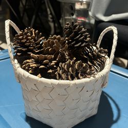 Basket With Acorns 9 Inches Tall 