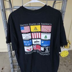 
USA  A History Of Defiance Flag Gildan Tee