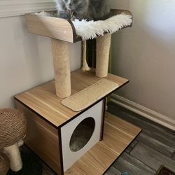 Cat Tower