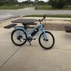 Electric Bike