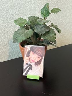 Chaewon Photo Card - double sided