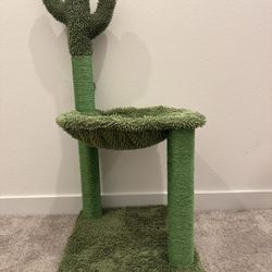Cat Cactus Tower
