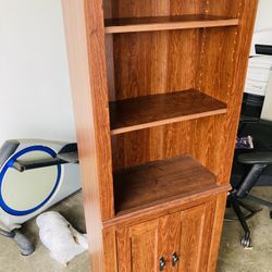 Cabinet/ Bookshelves 