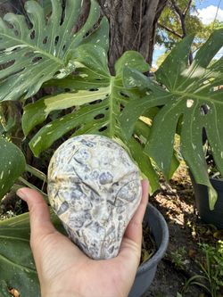 Alien Crystal Jasper
