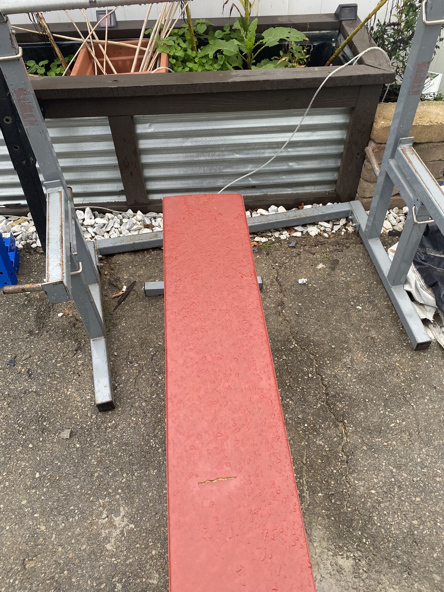 Olympic Lifting Equipment