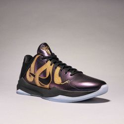 Kobe Year Of The mamba 