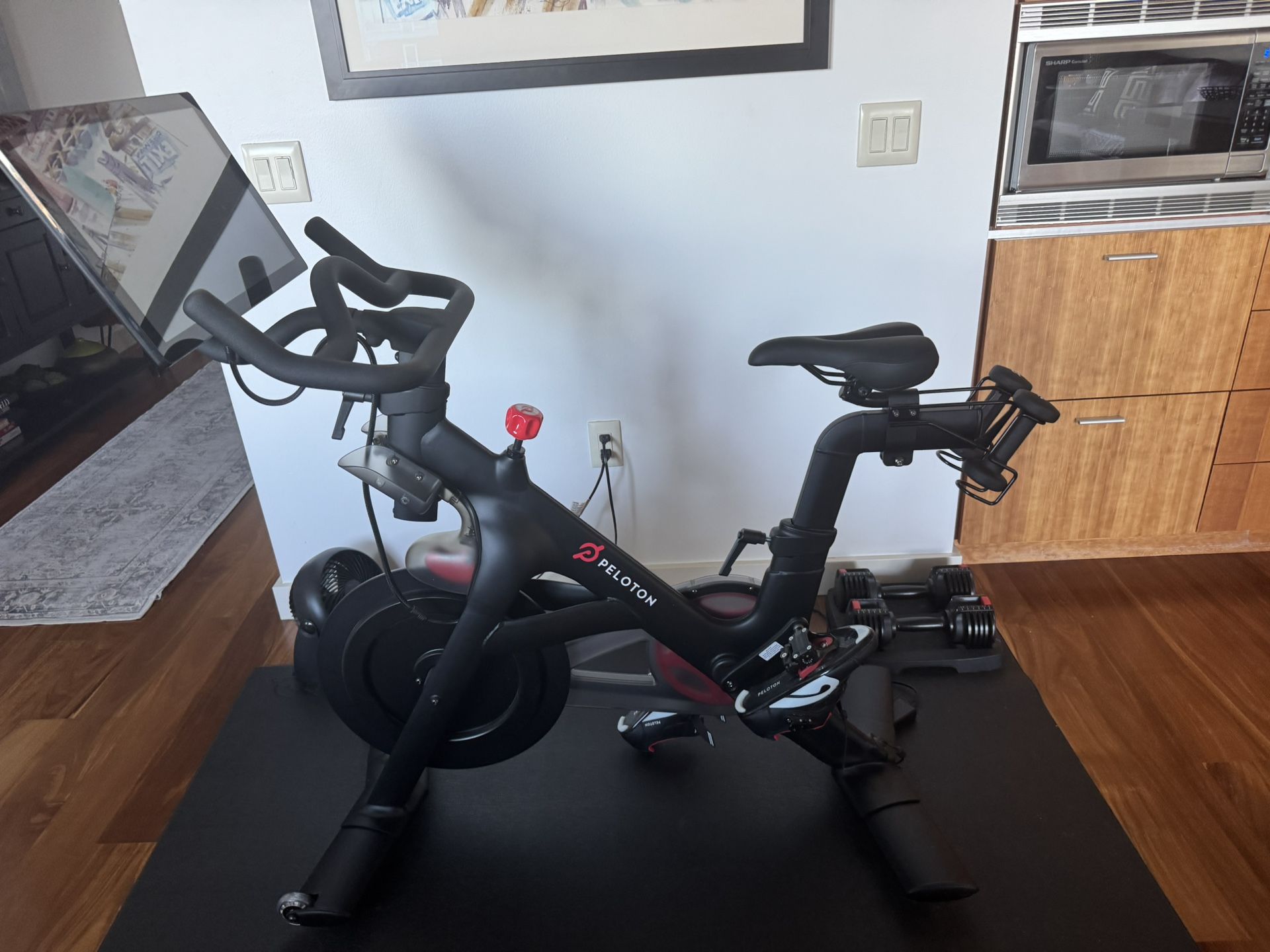 Peloton PL-01 Exercise Bike; Excellent Condition, Mat, Dumb Bells, Heart Monitor