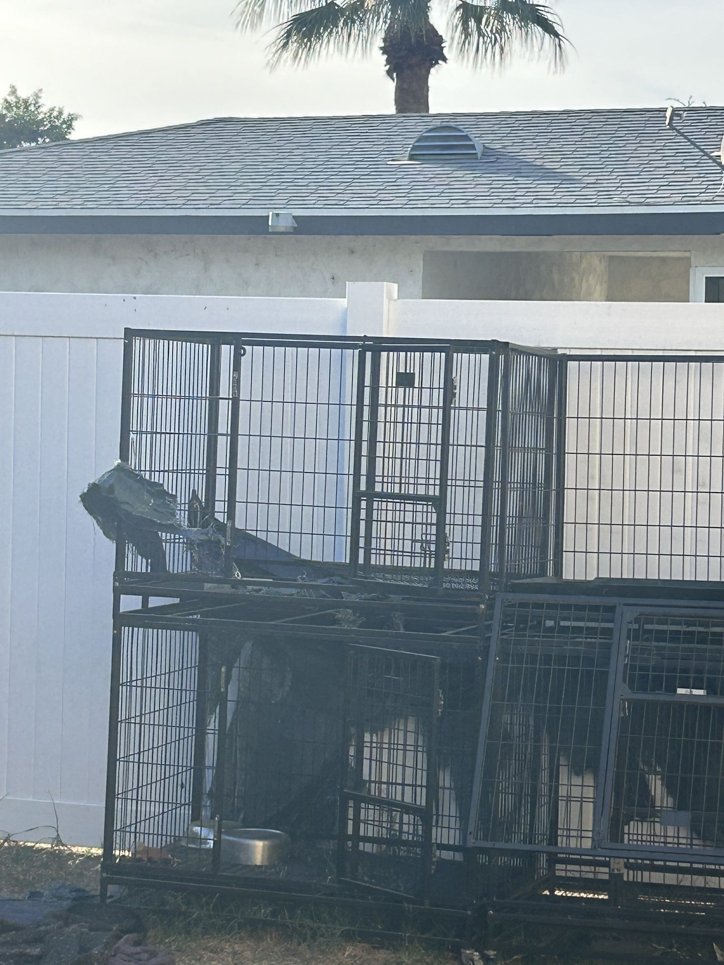 Dog Cages