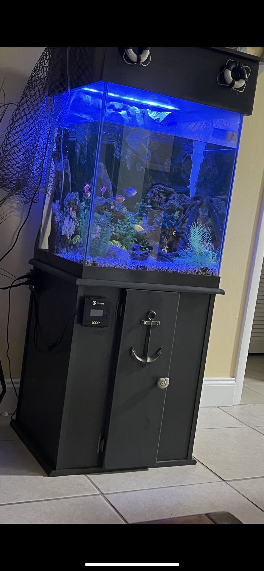 Fish Tank For Sale
