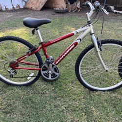 Bike 26”