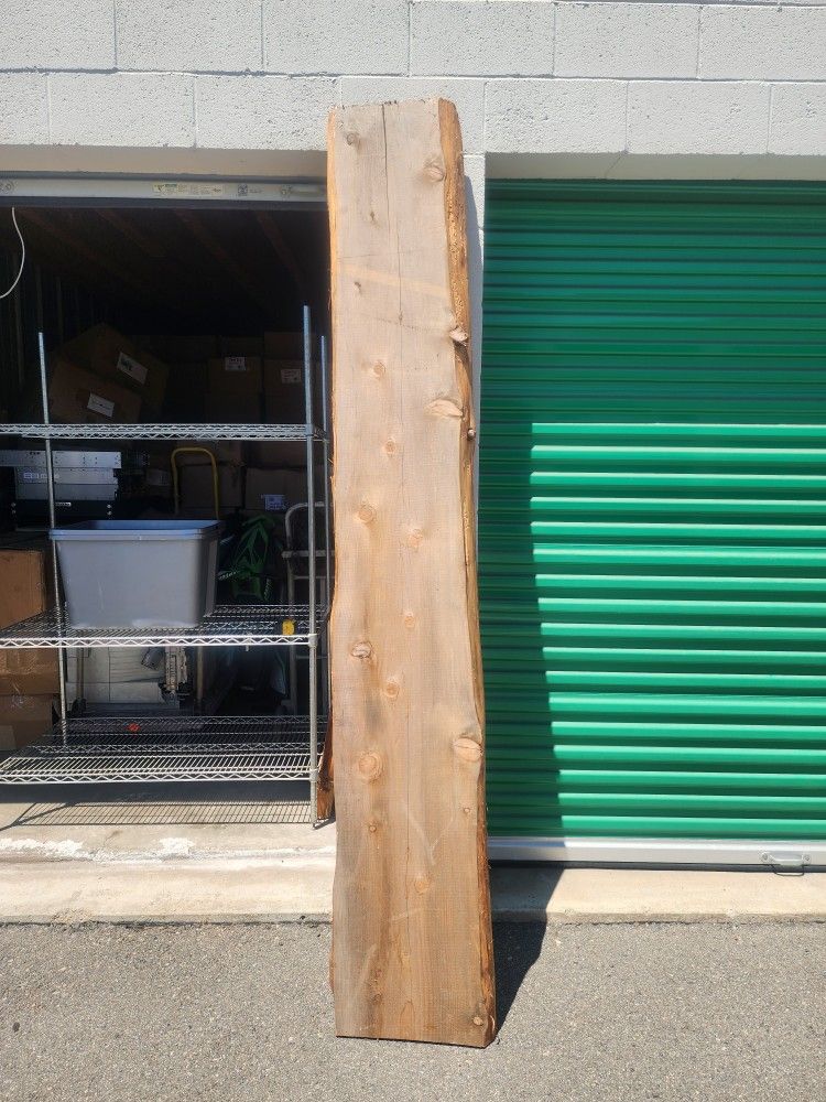 97.5 Inch Long Live Edge Wood Slab