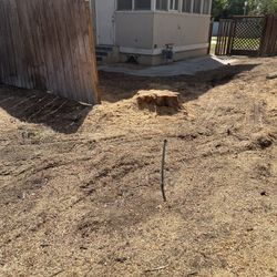 Stump Grinding