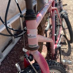 Bikes Malboro Unlimited