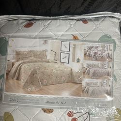 Bed Sheet Set 