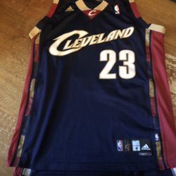 Lebron Cleveland jersey
