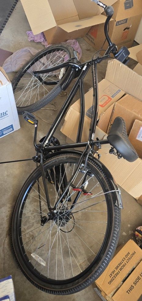 Beach Cruiser 5 Speed 29"