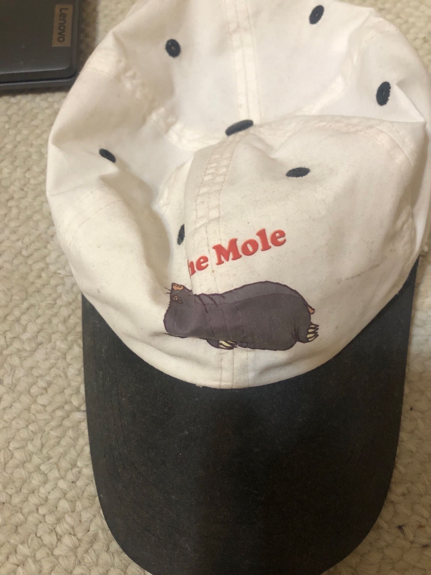 The Mole Hat
