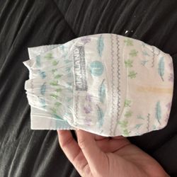 Size 1 Diapers