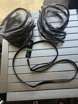 11 Leather Dog Leashes