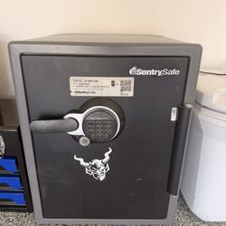 Sentry Safe