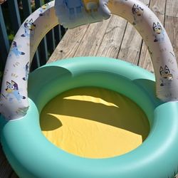 Kids Bluey Pool