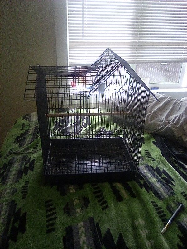 Birdcage And Bird Box