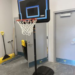 Lifetime Basketball Hoop 