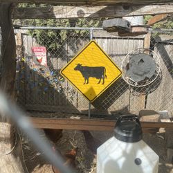 Real cow road sign