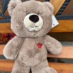 Hearted Teddy Bear 🧸❤️