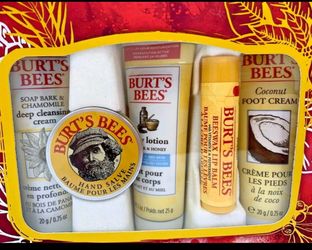 BURTS BEES KIT
