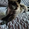 Susan