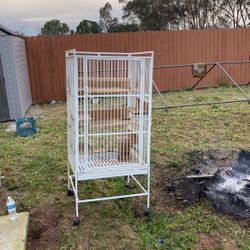 Bird Cage 