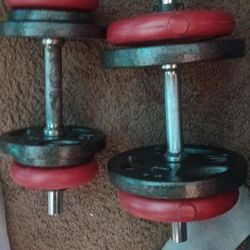 Weight Bench 16 Plates Adjustable Dumbbell Bars
