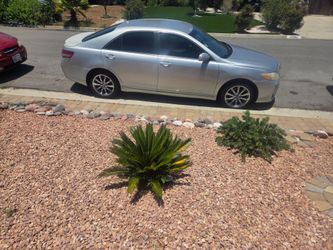 2010 Toyota Camry