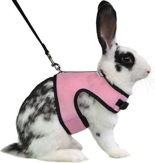 Niteangel Adjustable Soft Harness with Elastic Leash for Rabbits
Size Large