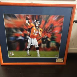Peyton Manning Signed 20x24 Metallic Photo Denver Broncos Steiner Coa