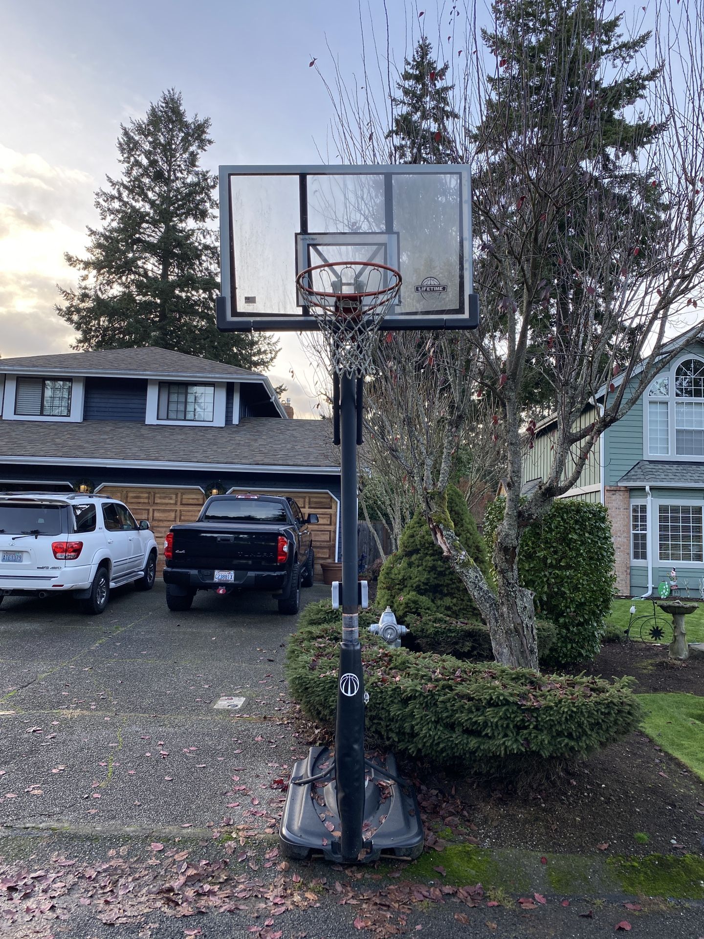Basketball Hoop 
