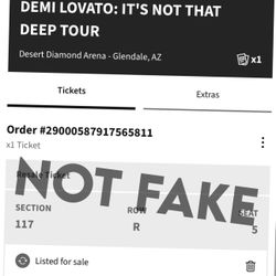 Demi Lovato: It’s Not That Deep Tour