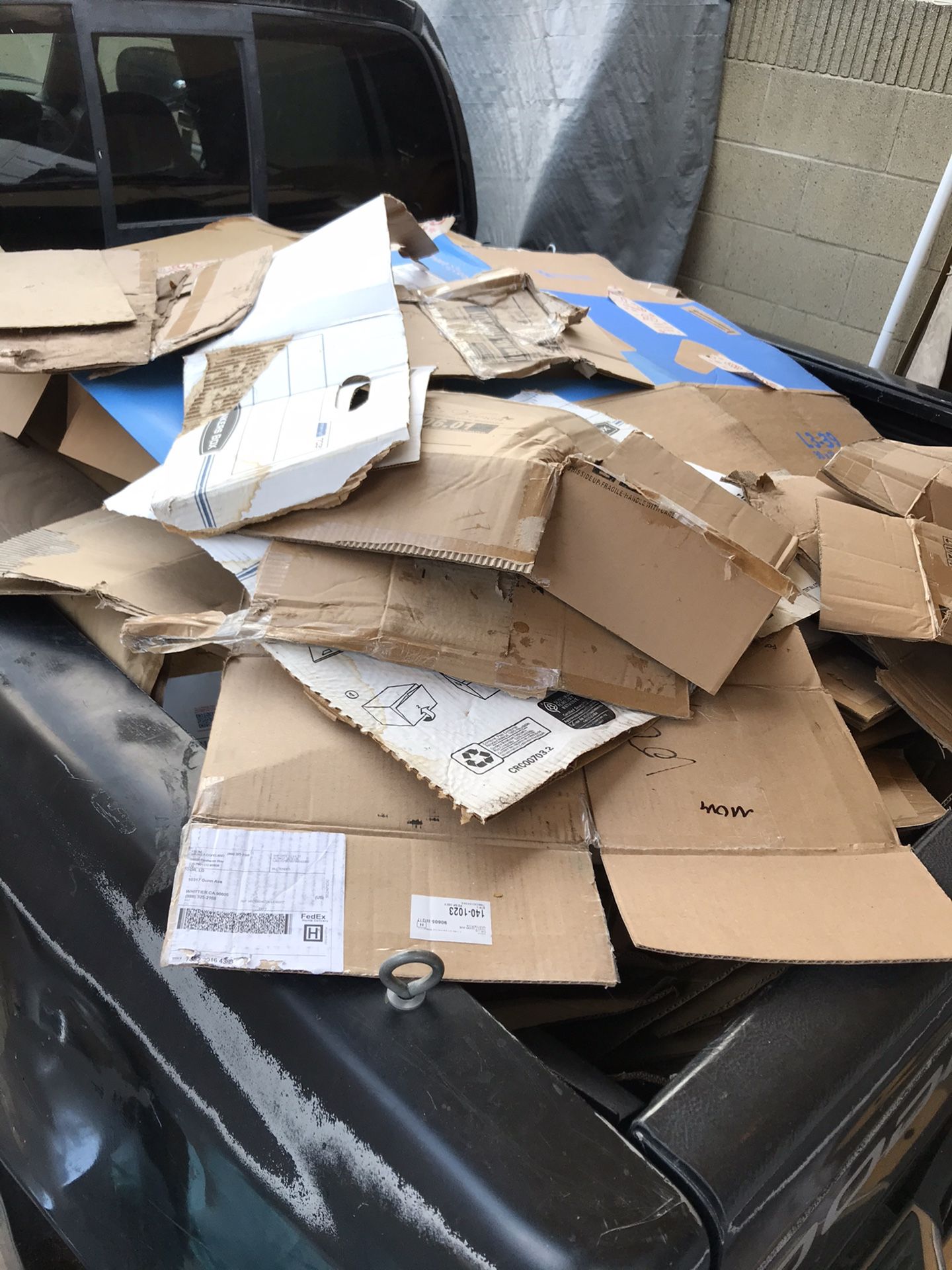 Free Cardboard