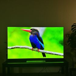 65” LG 4K OLED EVO 