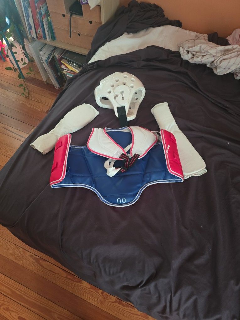 Taekwondo Armour