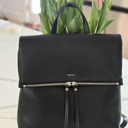DKNY Fashion Backpack 