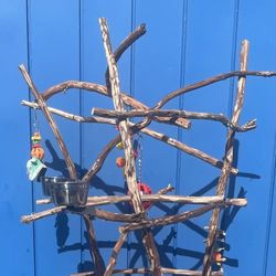 African Grey - Amazon Parrot Perch Tree … Great Looking And Kinda Tall - The Great Socializer!! 💯