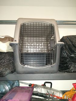 Dog Crate