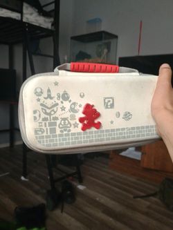 Nintendo Case