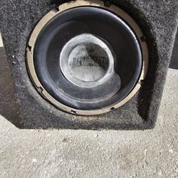 10 Inch Earthquake Subwoofer