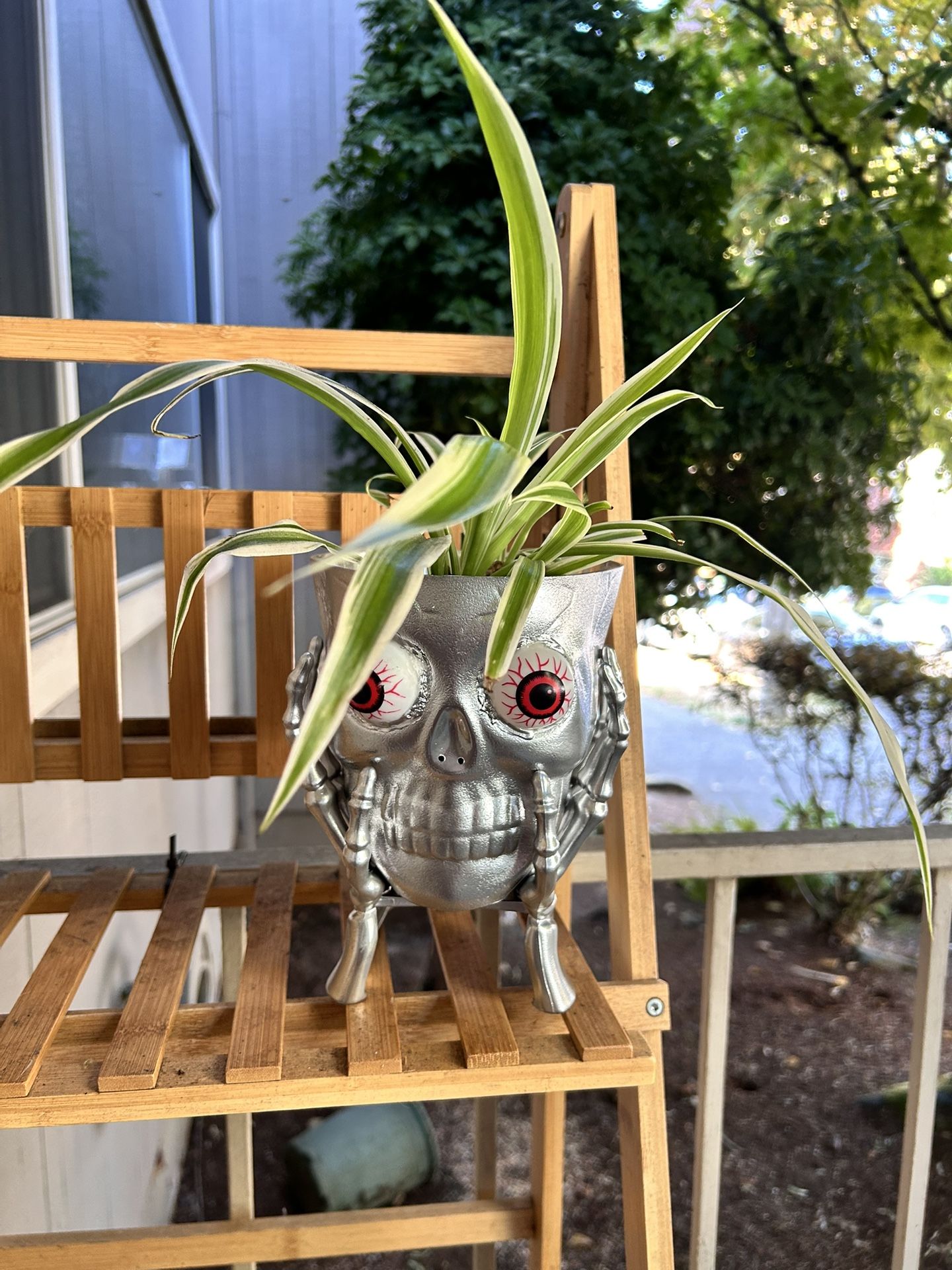 Silver Skull plant Planter Pot Halloween witch decor, decoration, jack-o’-lantern light up eyes