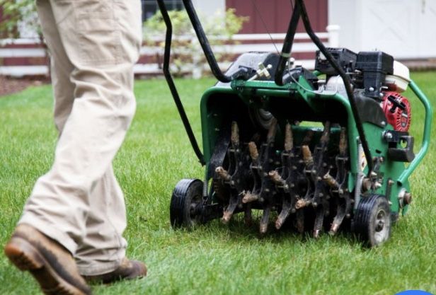 Aeration & Seeding 