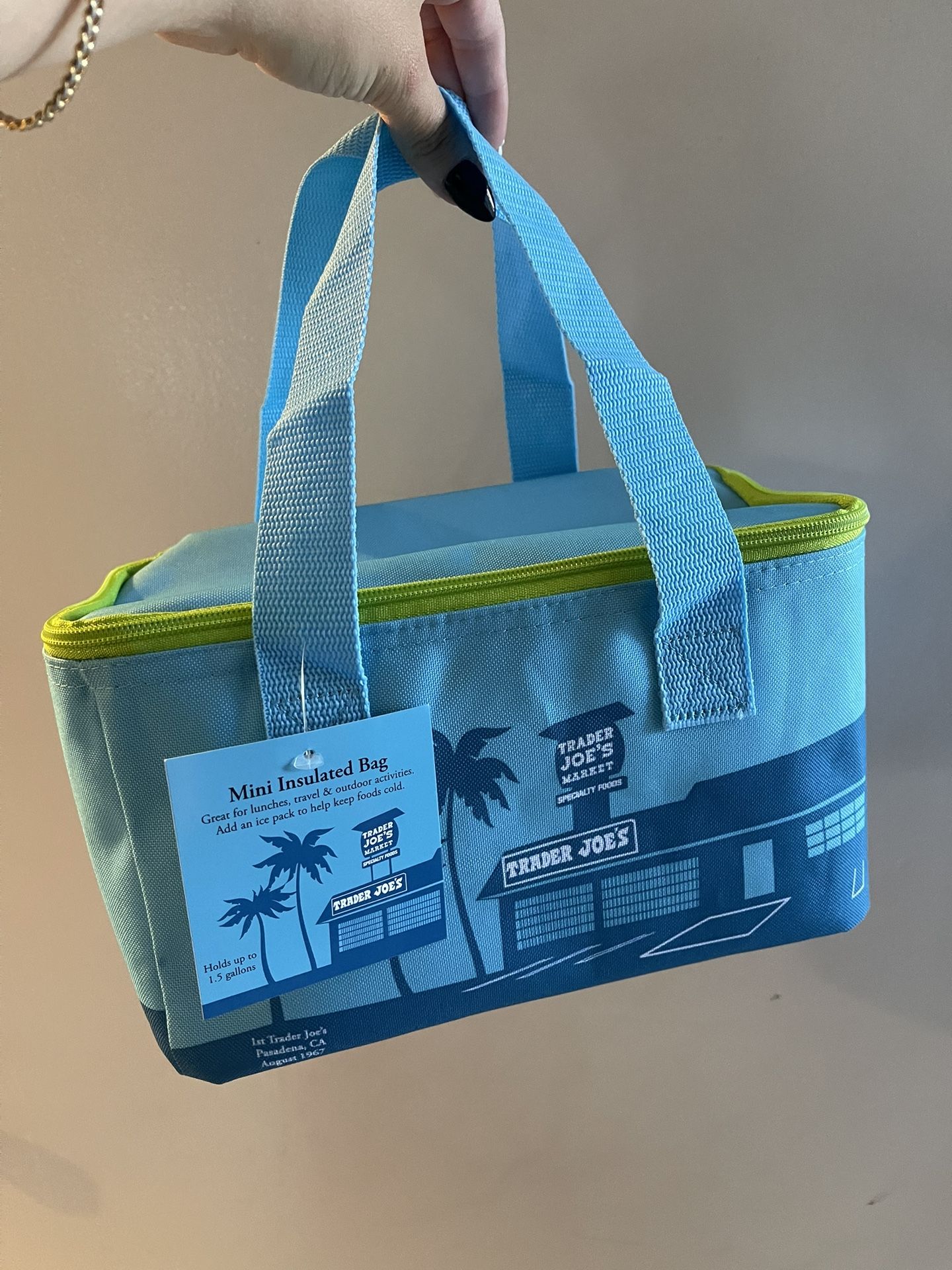 Trader Joe's Mini Insulated Bag